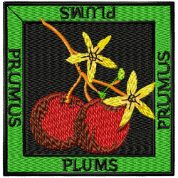 Plums Embroidery Design 2
